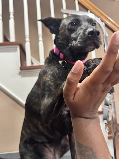 Gordon Groom and Pet Care Service