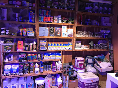 Philadelphia Aquatics LLC