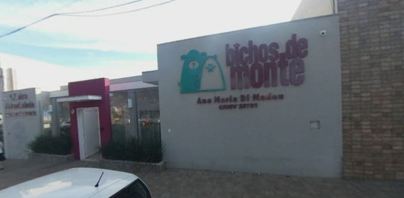 Clinica Veterinaria Bichos De Monte - Pet Shop em Monte Alto