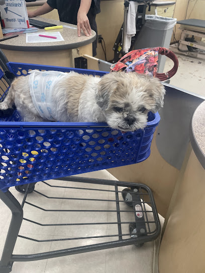 PetSmart Grooming