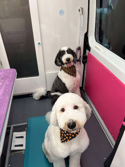 Chelsea's Canine Creations