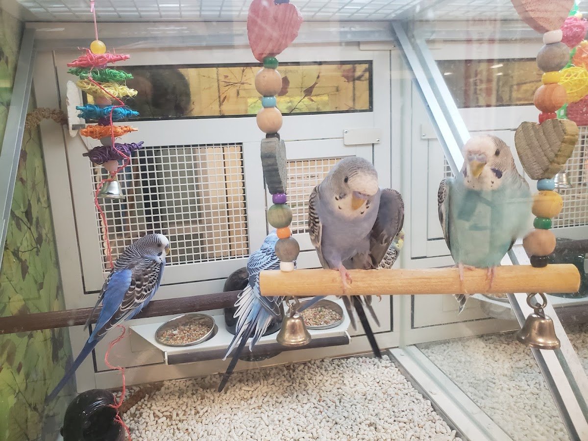 PetSmart Grooming - Photo 2