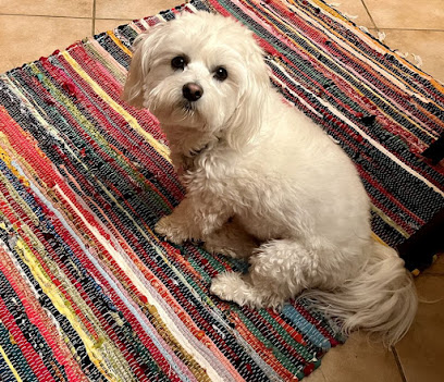 Pet Bath & Beyond - Pet Shop in San Antonio