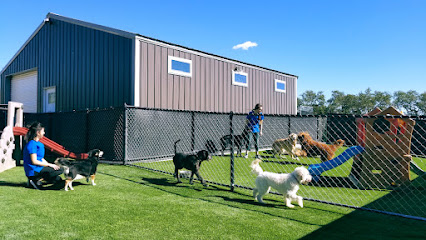 All Dogs Unleashed Dog Training San Antonio