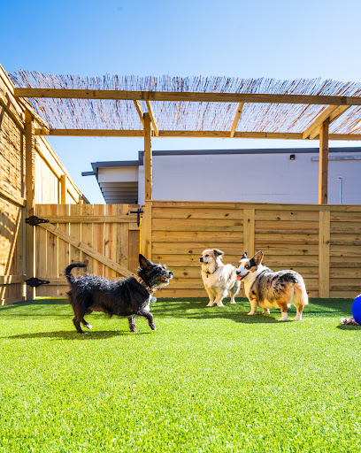 Good Dog Boarding & Walks