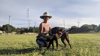 Beautiful Bond Dog Training