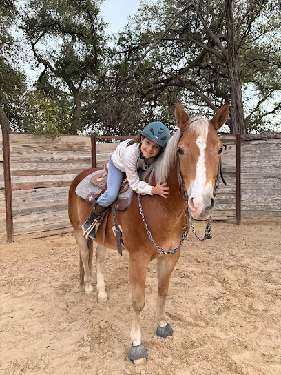 Spring Creek Stables