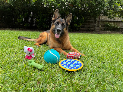 Dog Boarding of San Antonio, LLC