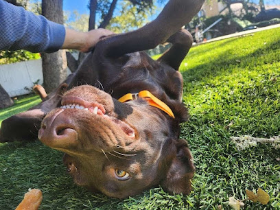 Just Fur A While Pet Services