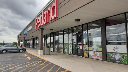 Petland Leon Valley
