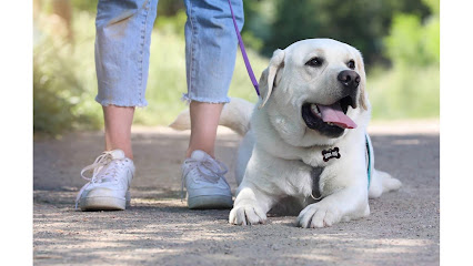 Quick-Tag - Pet Shop in San Antonio