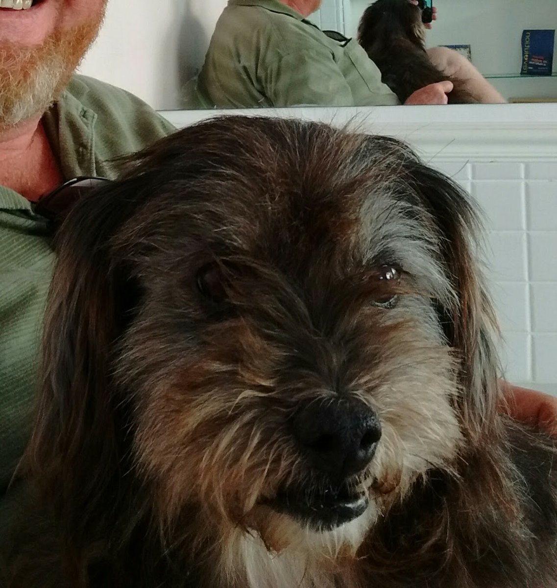 Pet Center Clínica Veterinária