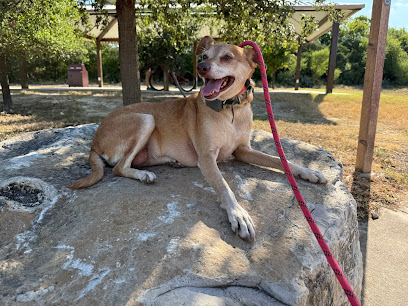 Camp Lucky Board and Train (San Antonio TX)