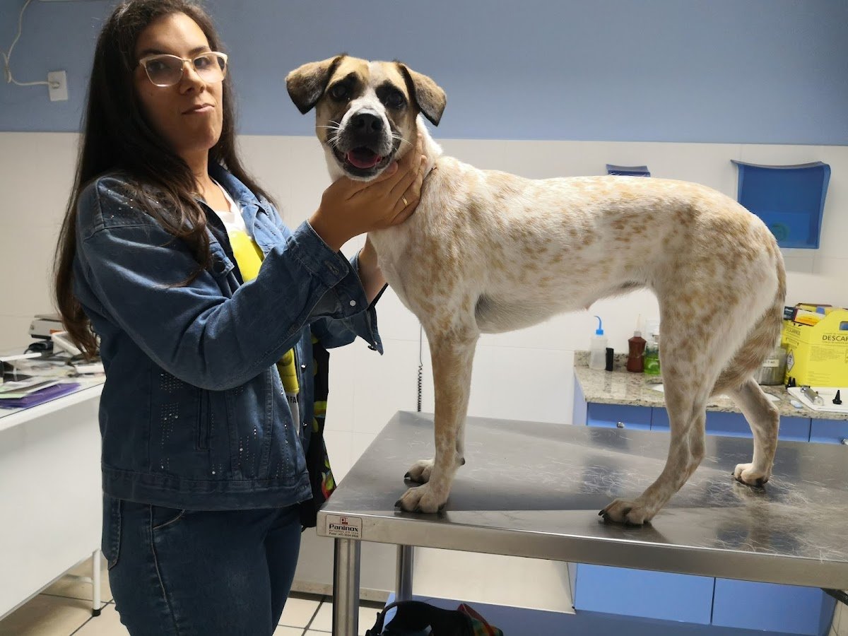 Clínica Veterinária Top Dog - Pet Shop em Balneário Camboriú