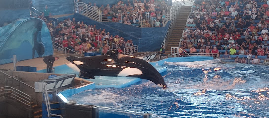 SeaWorld San Antonio, TX Kennel