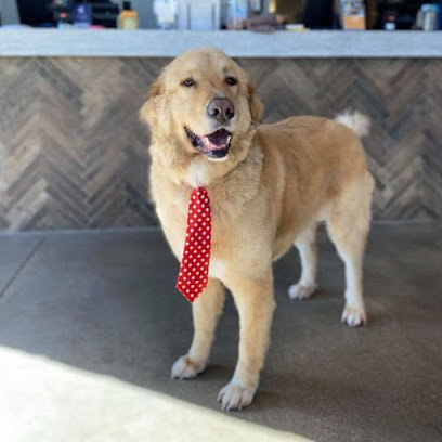 Lucy's Doggy Daycare and Spa