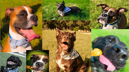 Barking Bad Pet Boutique - Pet Shop in San Antonio