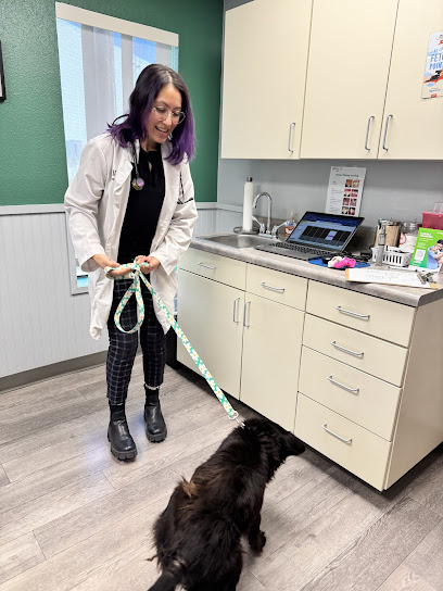Kirby Family Vet - Pet Shop in San Antonio