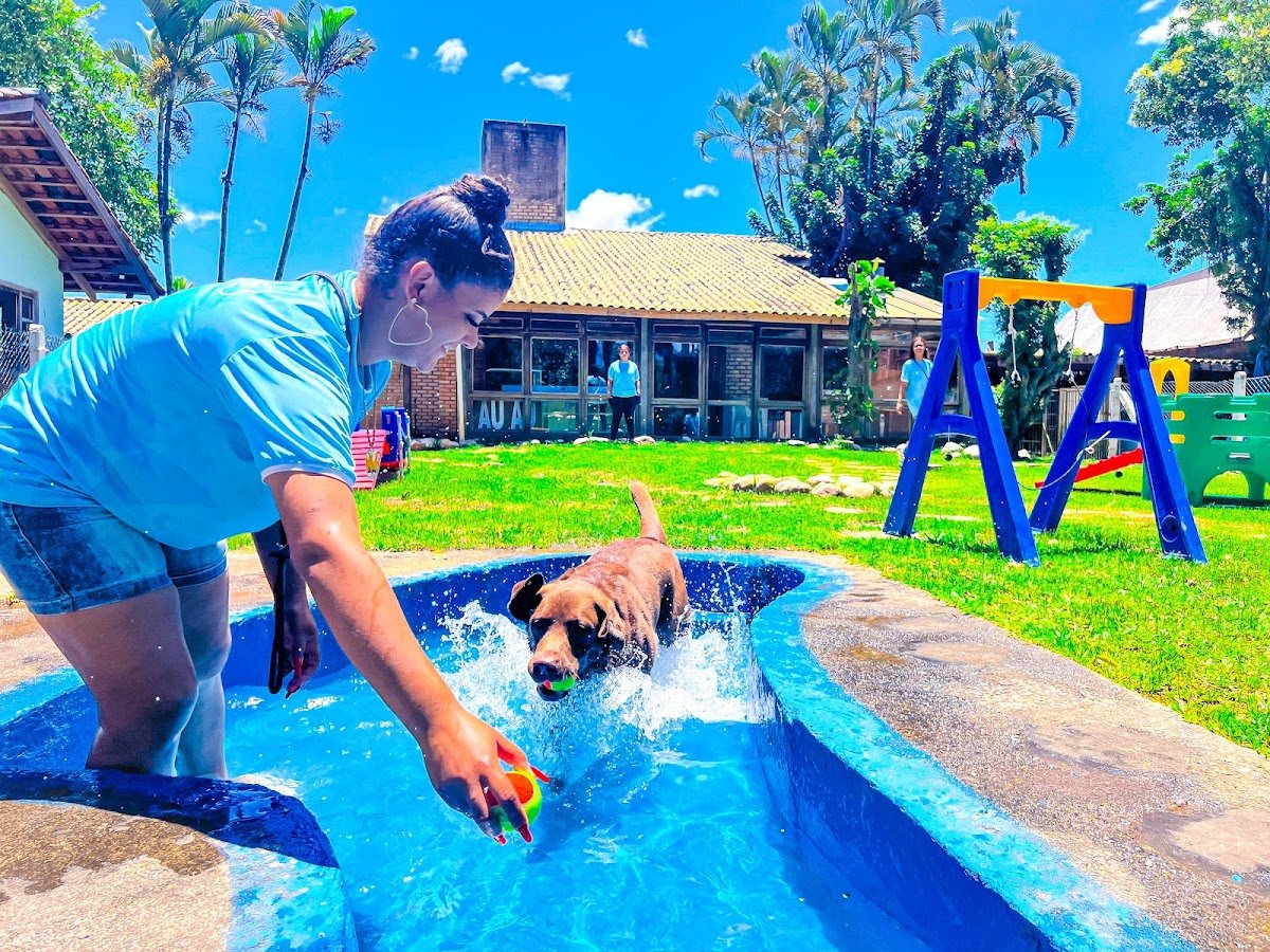 Ana Lautert Centro Canino - Pet Shop em Balneário Camboriú