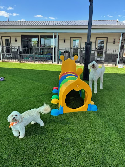 Casa De Pawz - Pet Shop in San Antonio