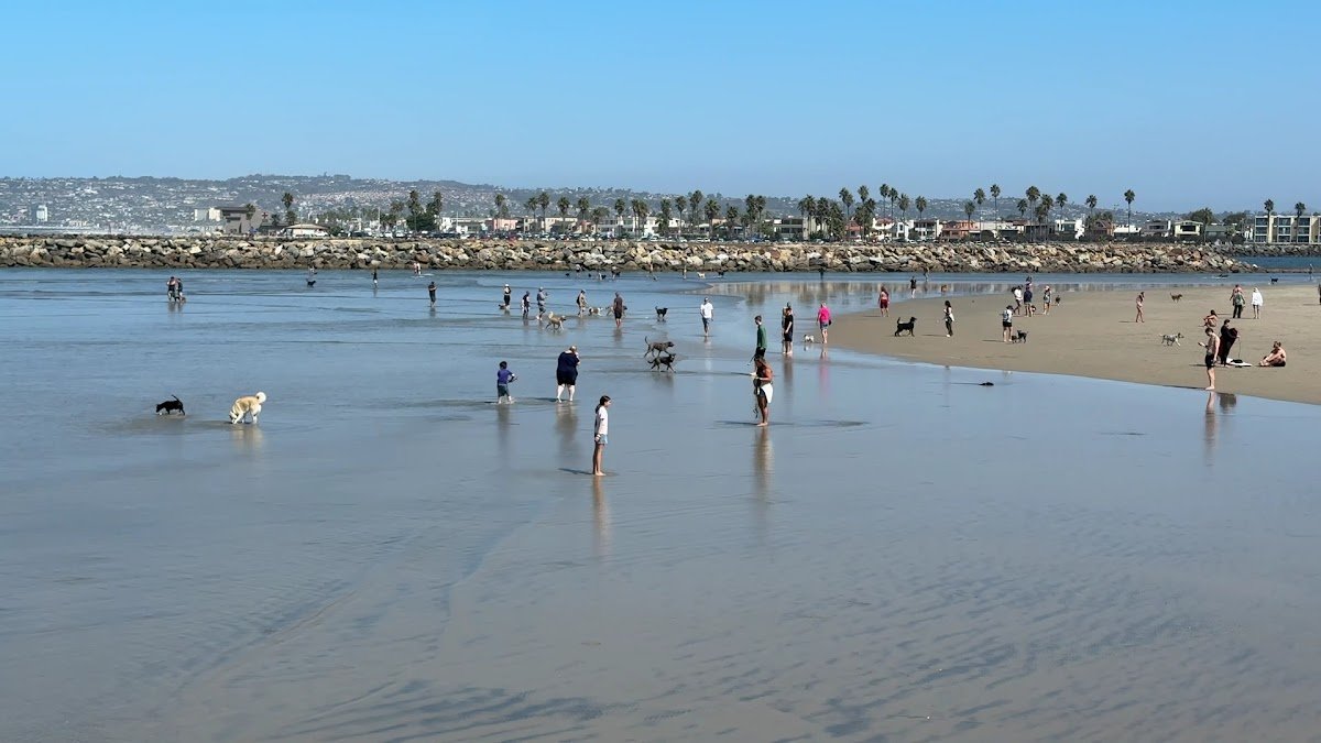 Ocean Beach | Dog Beach - Photo 2