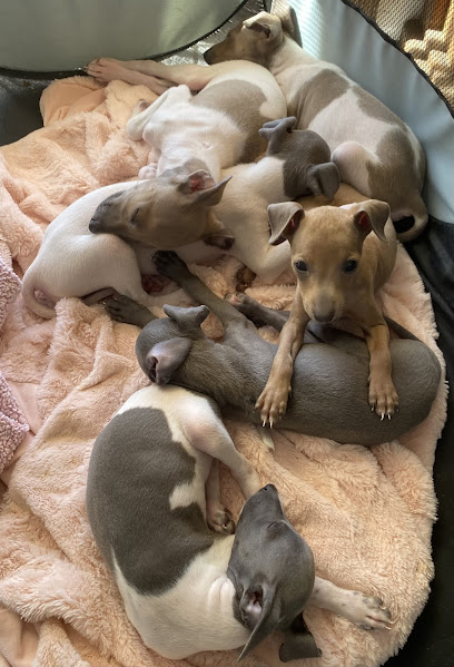 Granera y Veternaría Fundadores