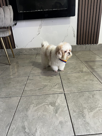 Pet Place Estética Canina y Felina