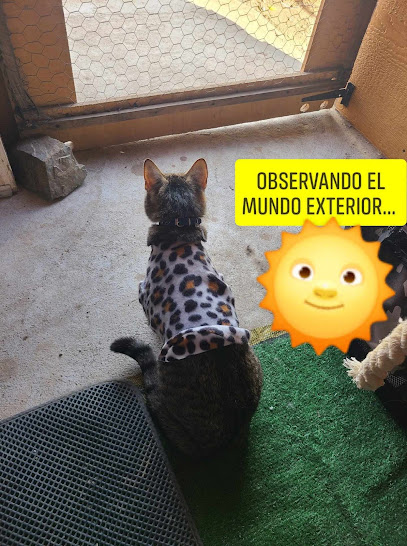 GUARDERIA DE MASCOTAS NYB