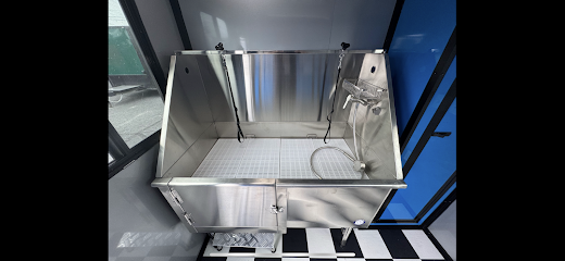 San Diego Dog Groomer