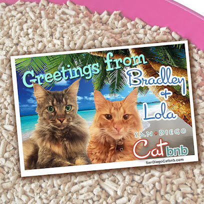 San Diego Cat bnb