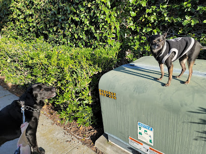 Best Friends Forever Pet Care