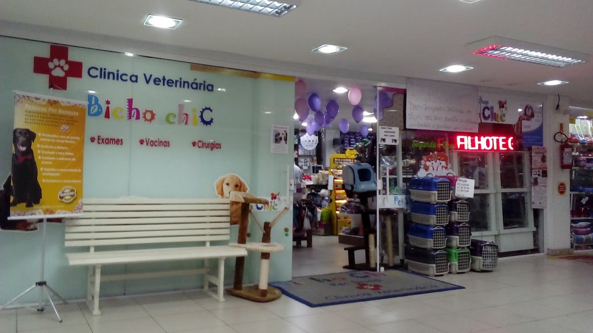 pet shop bicho chick