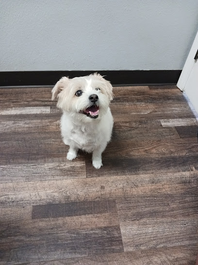 Bernardo Heights Veterinary Hospital