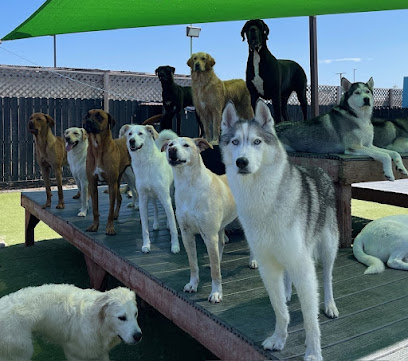 Paw Commons Pet Resort & Training Center - Kearny Mesa