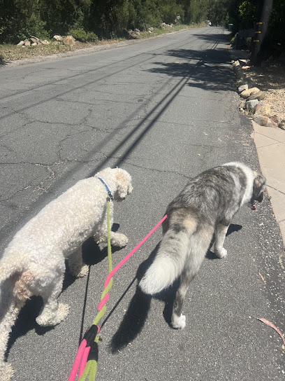 Jen’s Pet Sitting of San Diego