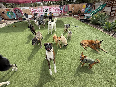 Precious Pet Care San Diego