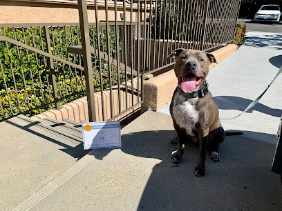 Instinct Dog Behavior & Training San Diego