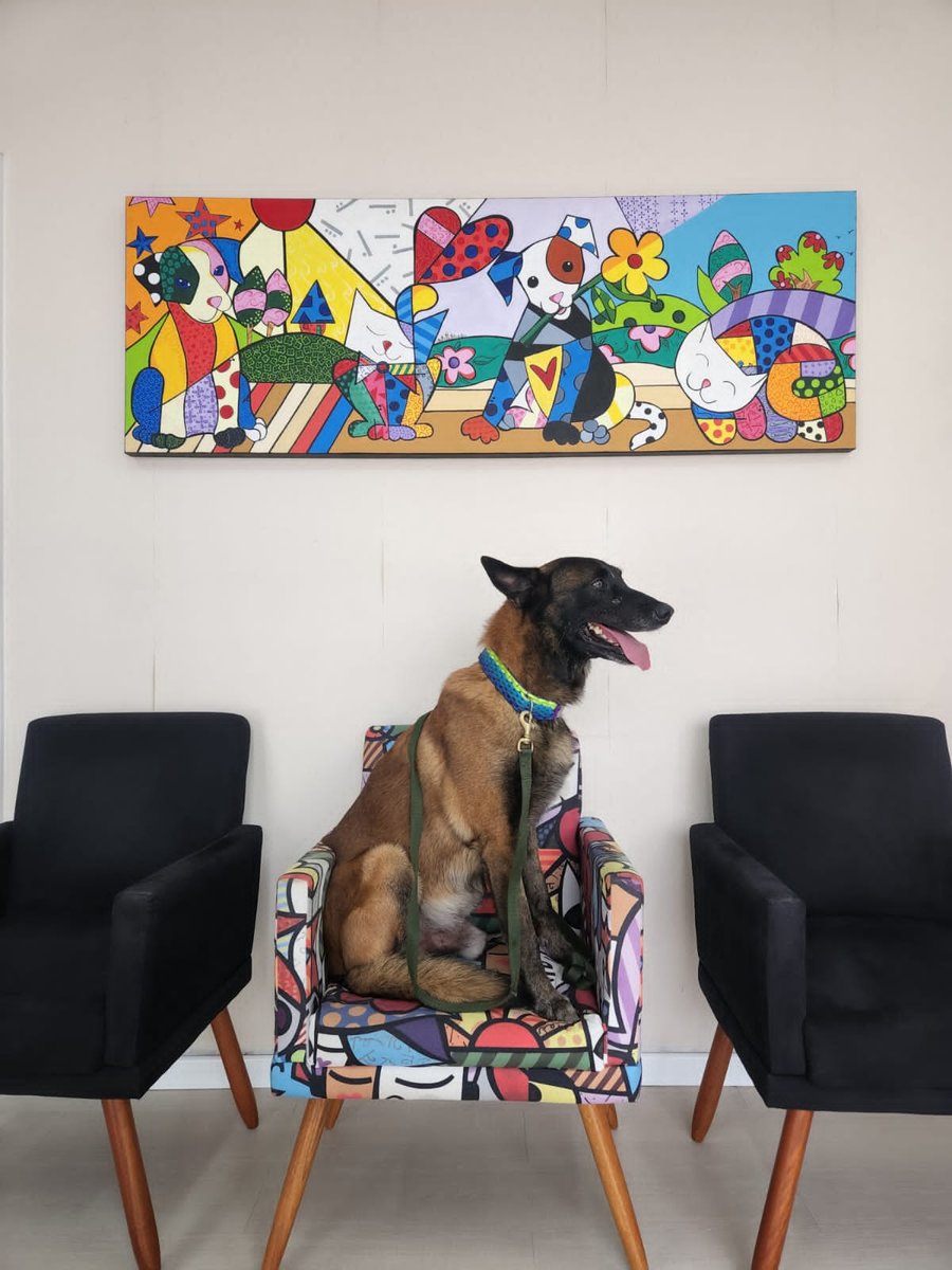 Veterinária Patas & Garras