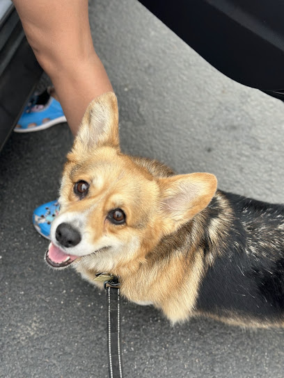 Provet Clínica Veterinaria otay