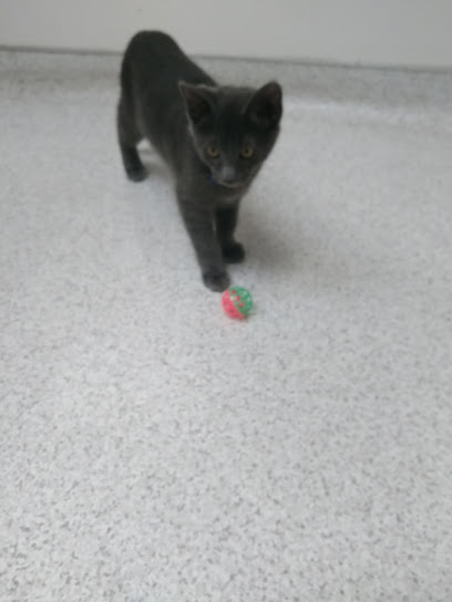 Point Loma Veterinary Clinic