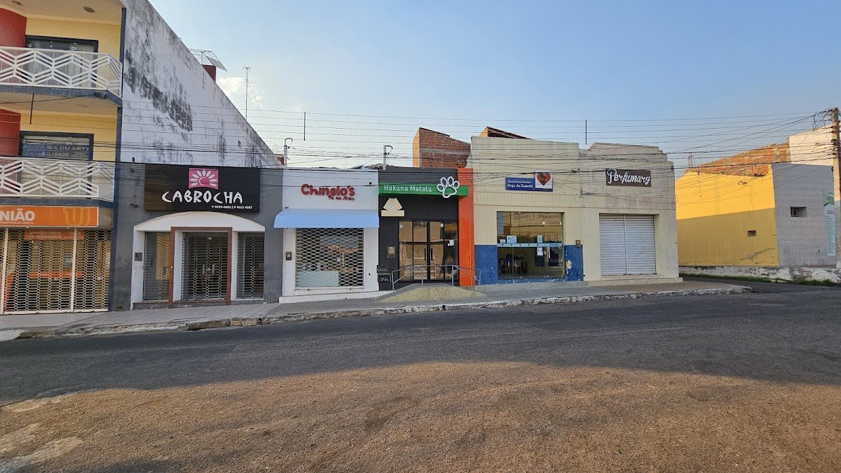 Hakuna Matata Pet Store - Pet Shop em Apodi