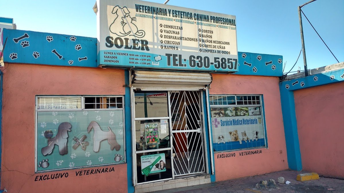 Veterinaria Soler - Photo 2