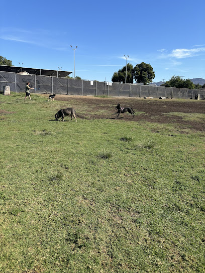 Allied Gardens Dog Park