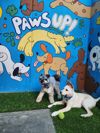 PAWS Hotel y Guarderia - Pet Shop in San Diego