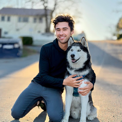 Micah Saint Germain Dog Training - San Diego