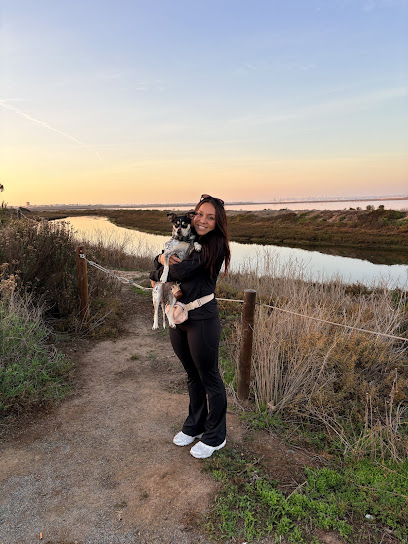 Pawsitive Pups Dog Training, Chula Vista