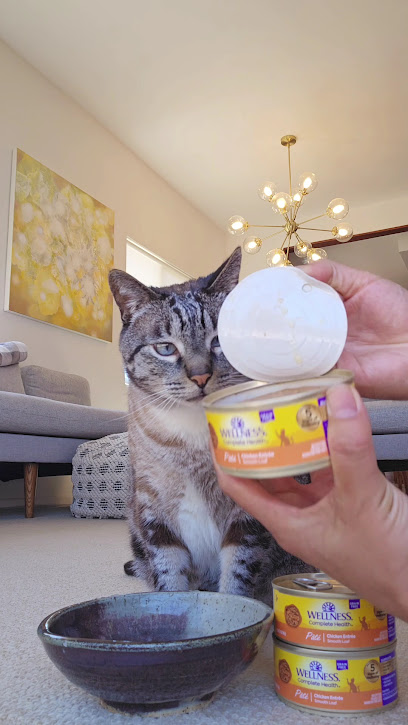 Mission Hills Cat Care - Pet Shop in San Diego