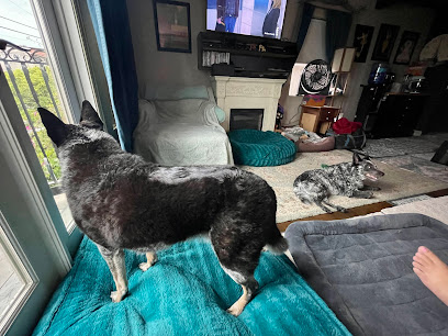 The Huntress And The Hound - Pet Shop in San Diego