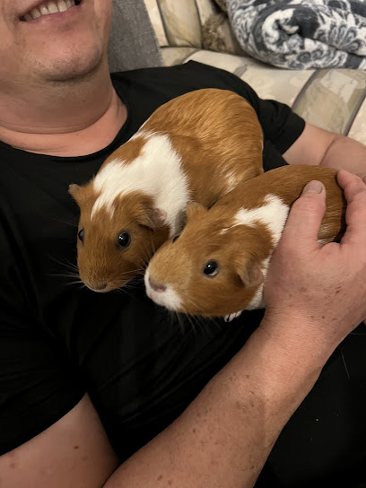 Wee Companions Small Animal Rescue