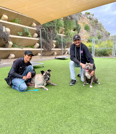 Snug Pet Resort & Animal Hospital